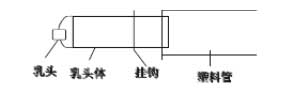 獭兔的养殖技术