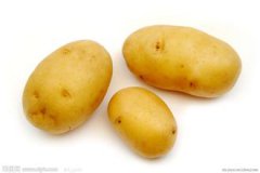 土豆的营养价值和医疗作用