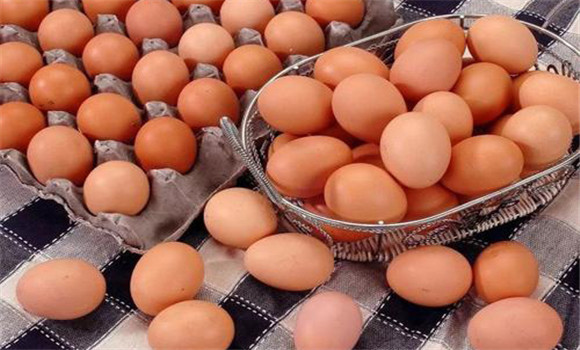 植物性饲料对蛋品的影响