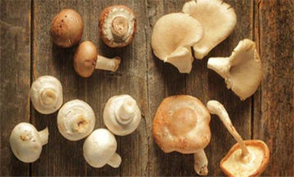 蘑菇健壮素的两种剂型