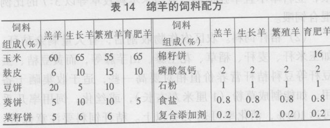 绵羊的饲养技术