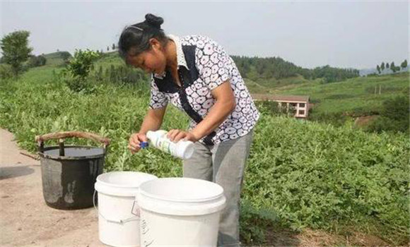 肥料与农药混用的注意事项