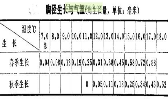 杉木喜欢什么样的温度条件