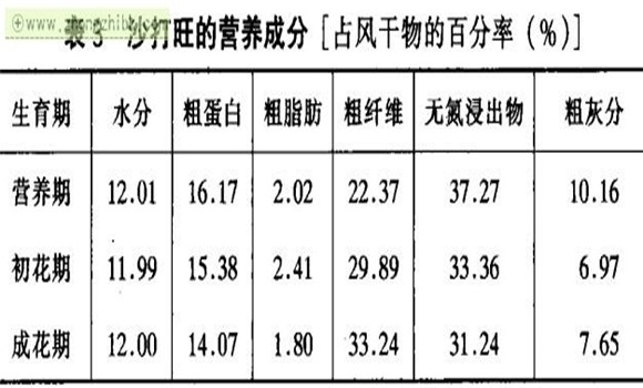 沙打旺的功效与作用