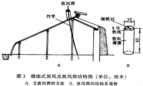 日光温室烟囱式放风效果好