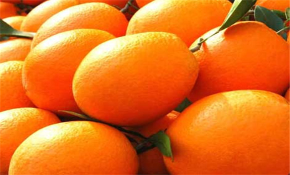 脐橙的营养价值与功效