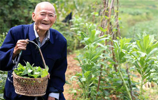 蔬菜具有某种特效成功能