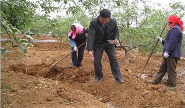 改进施肥方法