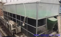 如何利用奶牛的粪尿生产沼气?