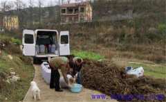 酵素堆肥的制作方法 酵素堆肥的原材料有哪些