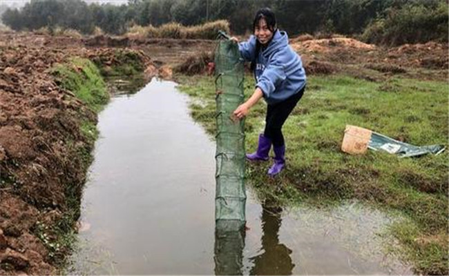 捕泥鳅地笼位置怎么选择