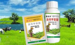 异丙甲草胺除草剂使用范围 适用作物与注意事项