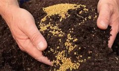化肥混施需要注意哪些问题？