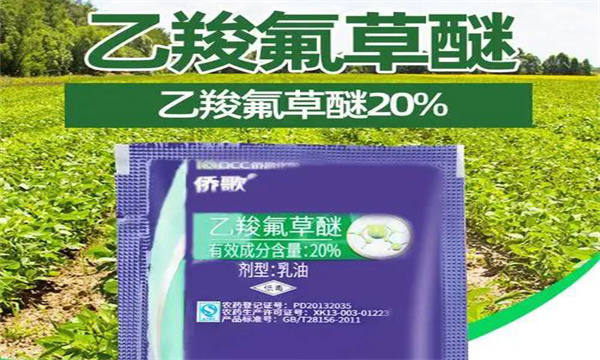 乙羧氟草醚的使用范围