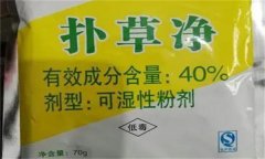 扑草净主要杀什么草?扑草净使用方法与注意事项