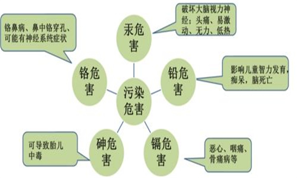 对人类健康有害的重金属元素种类