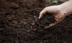 什么是土壤通气性 对作物生长发育有哪些影响？