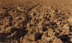 什么是土壤质地 土壤质地与农作物的关系是什么