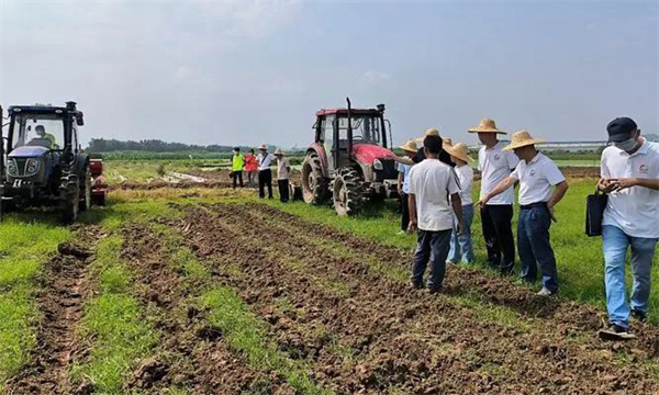 为什么说轮作制度可以调节土壤物理状况