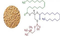 大豆异黄酮对人体有什么好处 什么食物含量多？