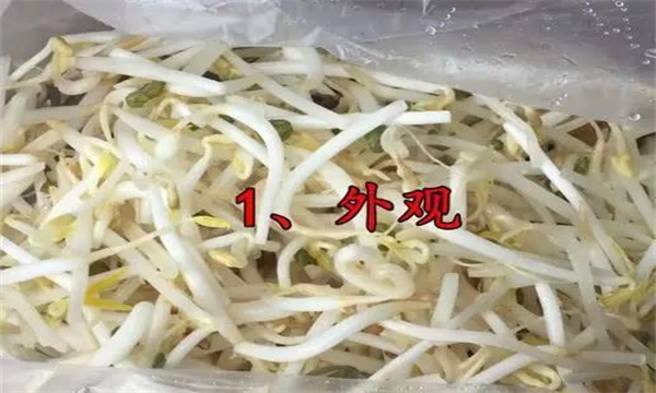 如何挑选豆芽