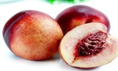 桃有何营养价值 如何储藏保鲜 成熟时为何烂果