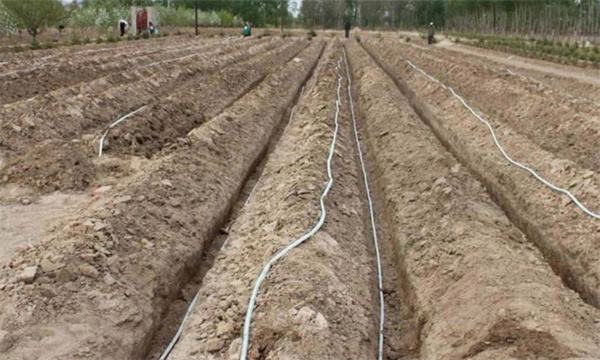 地下灌溉