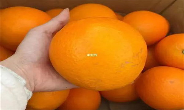 如何鉴别染色的橙子