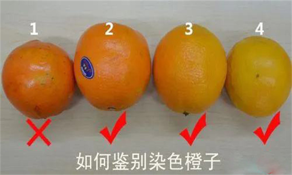如何鉴别染色的橙子